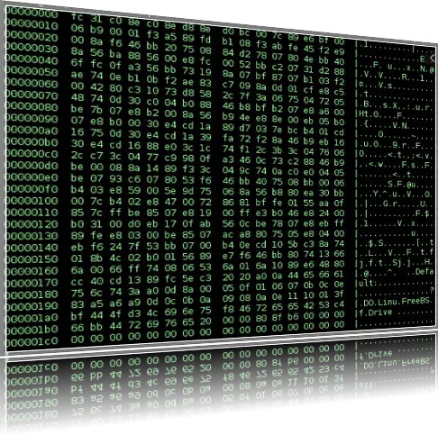 Binary Hex Firmware Example